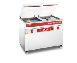 Vakuummaschine FAVOLA 500 TWIN 100
